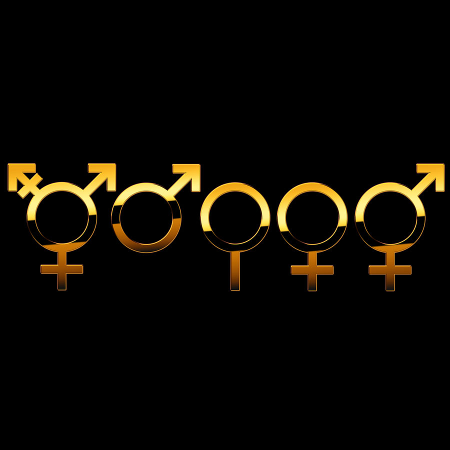 BDSM-Gäste  BDSM-Gäste